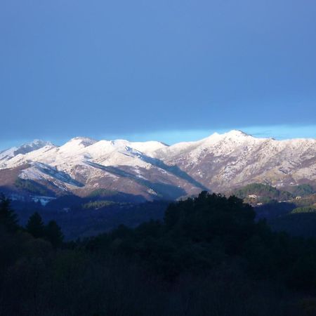 L'Evidence Bed & Breakfast Prades  Екстериор снимка