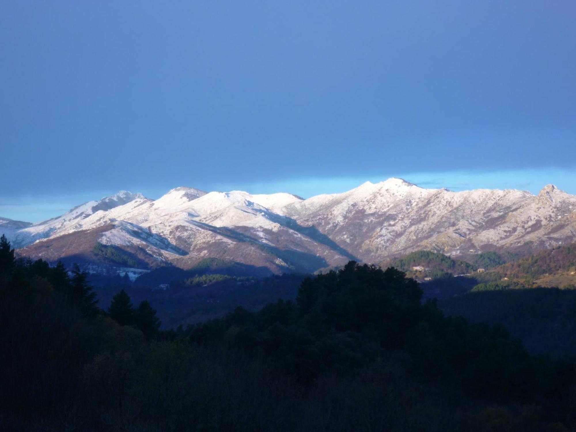 L'Evidence Bed & Breakfast Prades  Екстериор снимка
