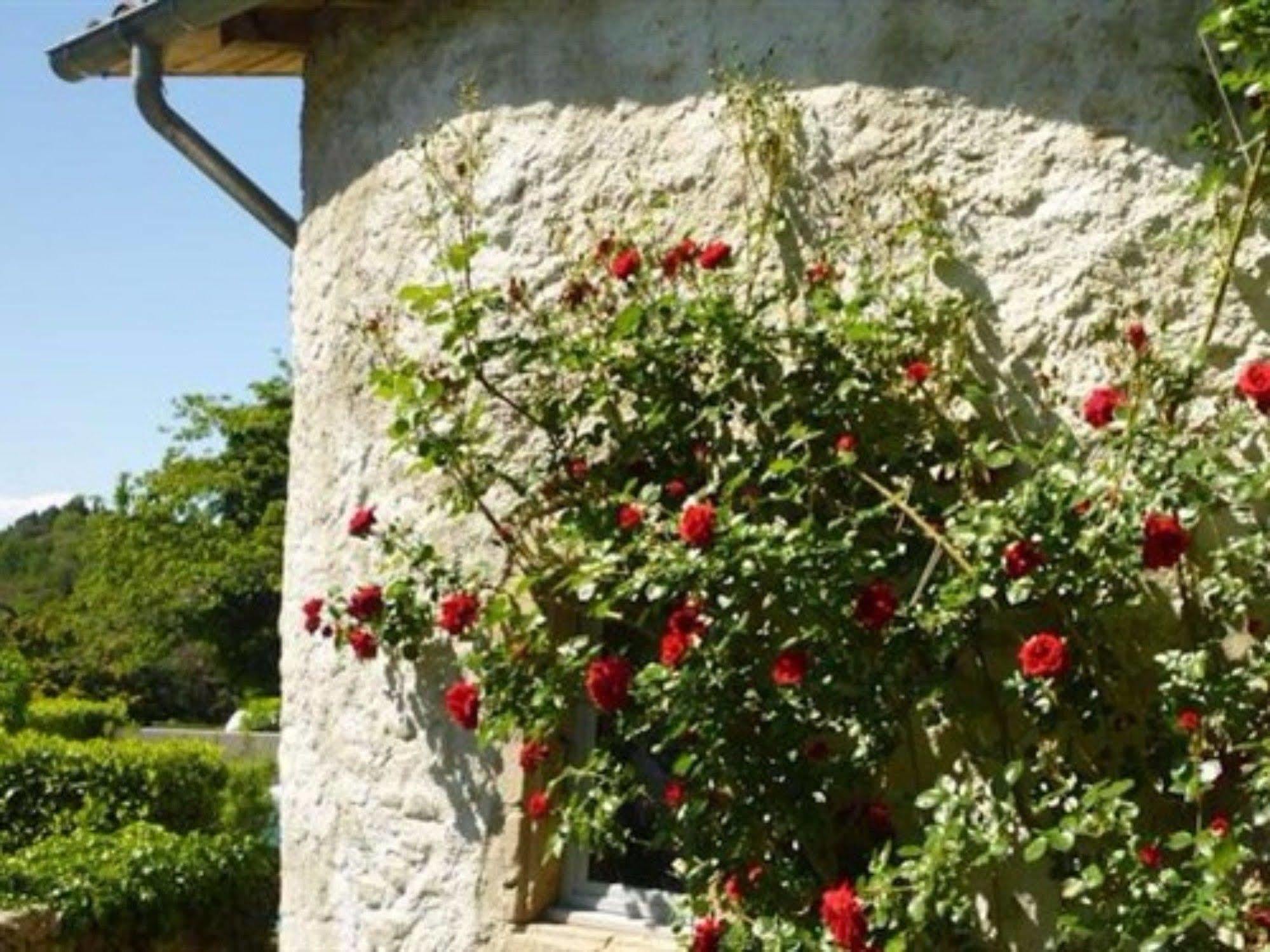 L'Evidence Bed & Breakfast Prades  Екстериор снимка
